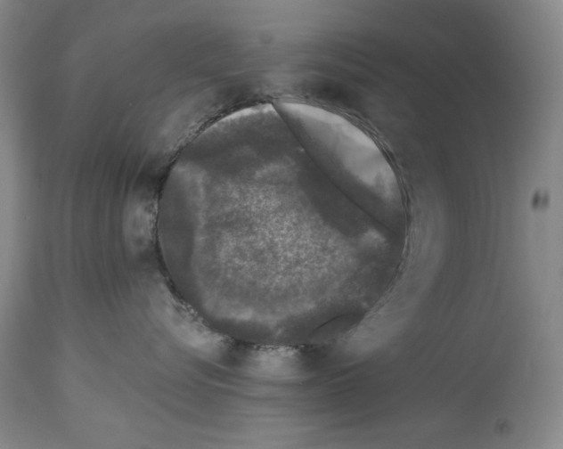 X0000113940576200911061244