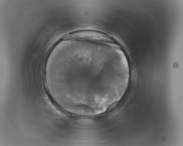 X0000113940577200911061243