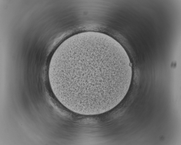 X0000113940578200911061243