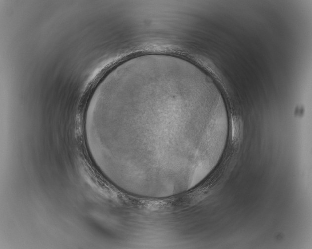 X0000113940579200911061243