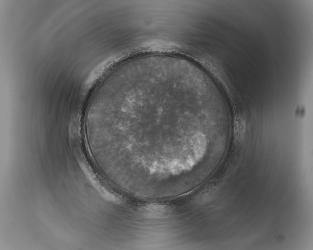 X0000113940581200911061243