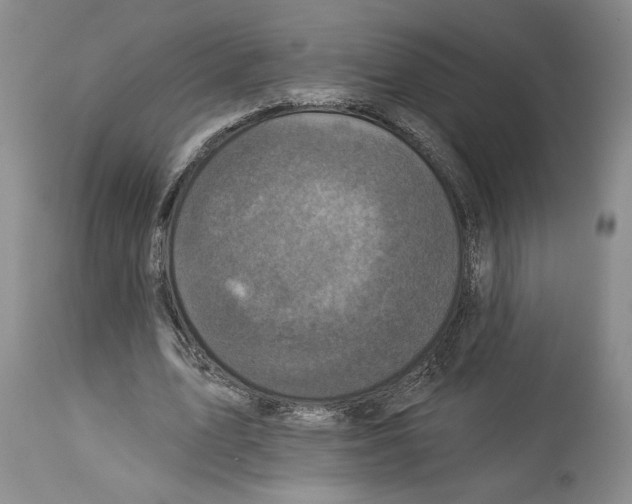 X0000113940583200911061243