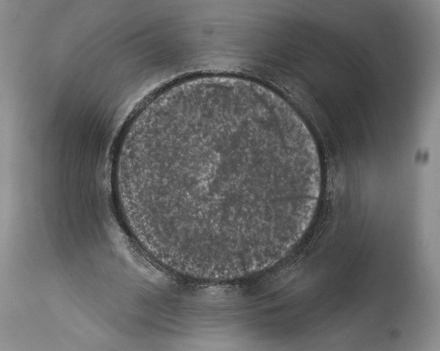X0000113940584200911061243
