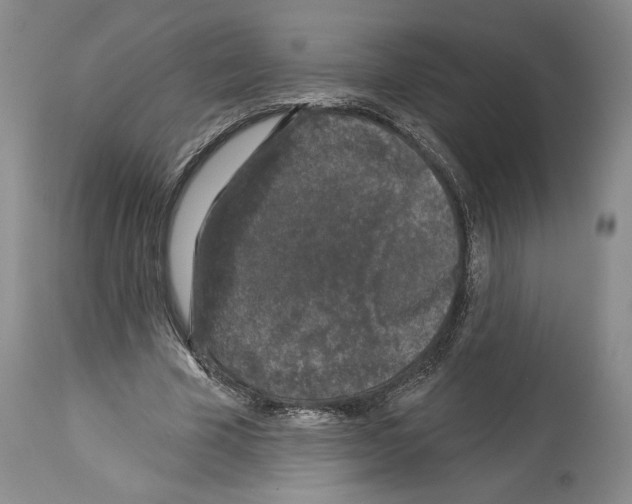 X0000113940585200911061243
