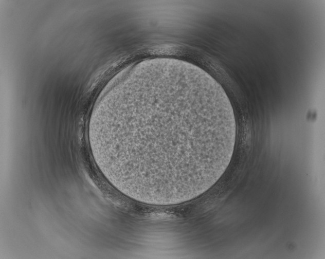 X0000113940586200911061243