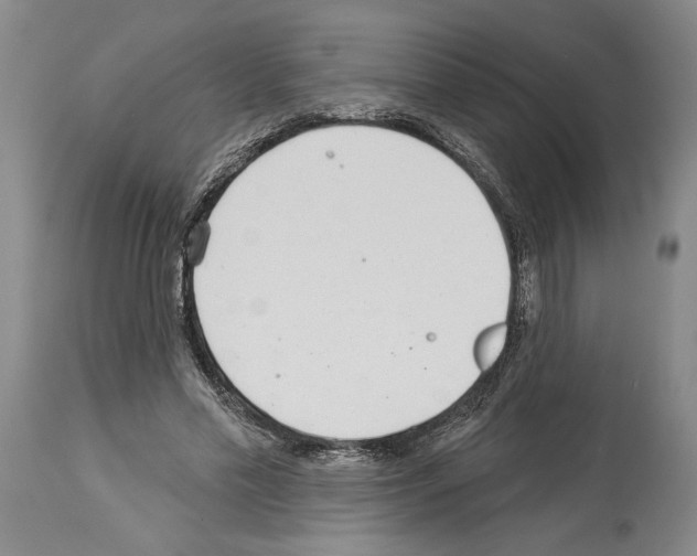 X0000113940589200911061243
