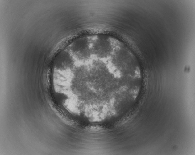 X0000113940590200911061243