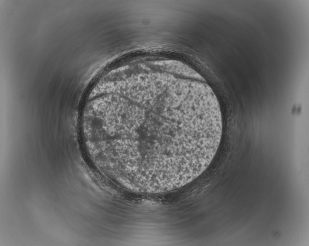 X0000113940592200911061243