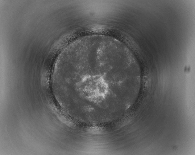 X0000113940593200911061243
