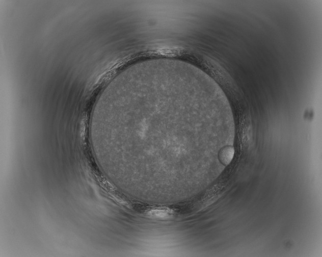 X0000113940595200911061243