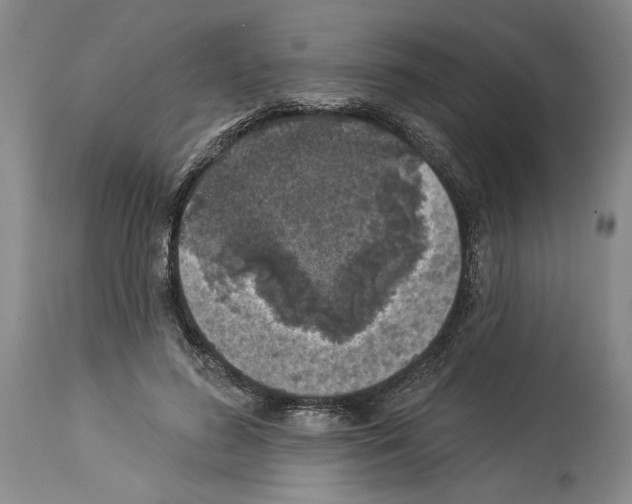 X0000113940596200911061243