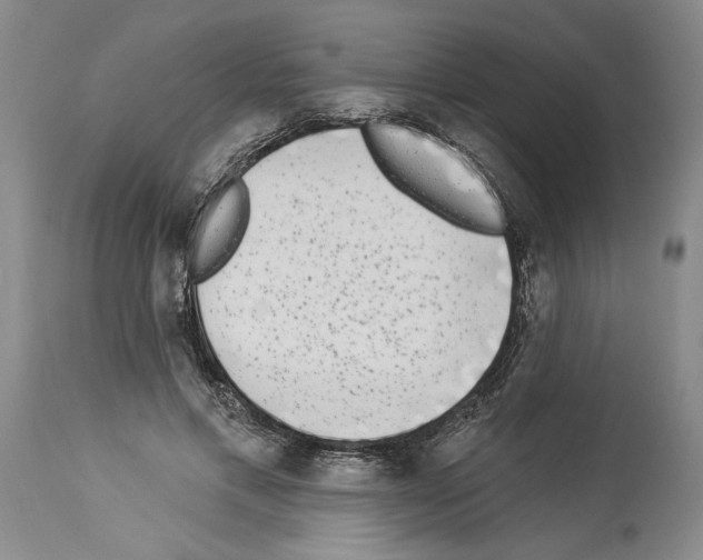 X0000113940597200911061243