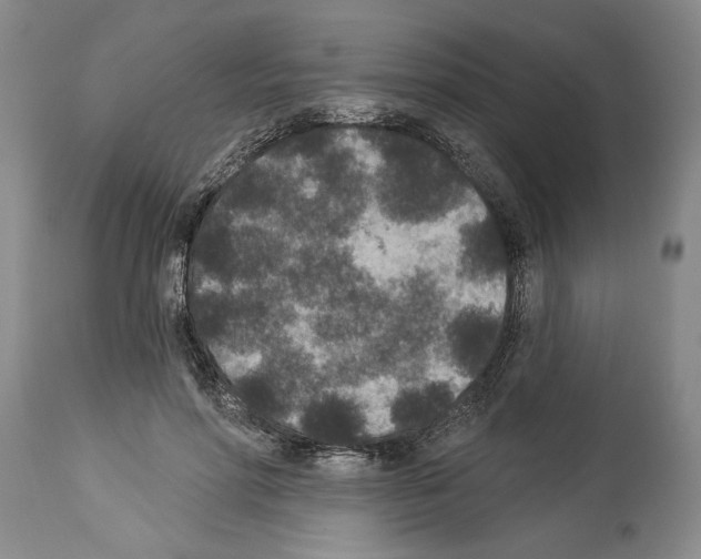 X0000113940598200911061243