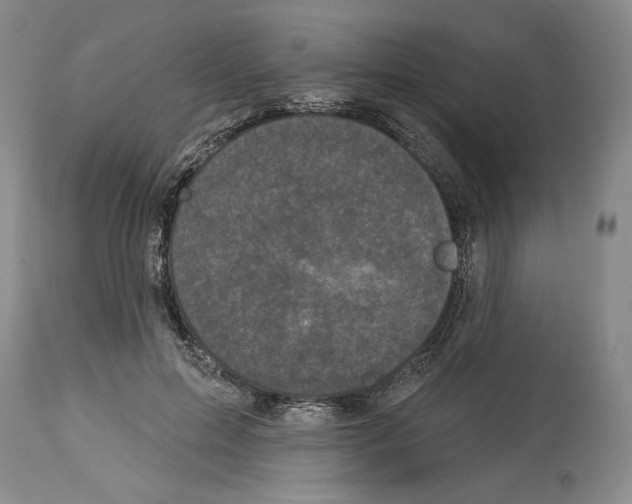 X0000113940599200911061243