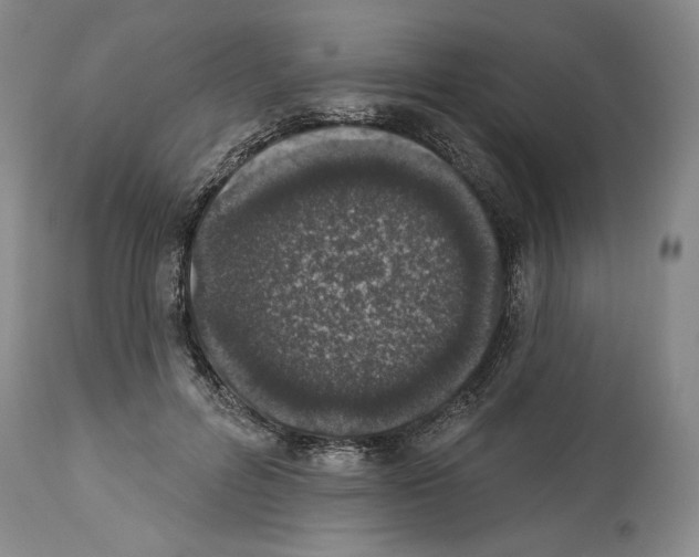 X0000113940600200911061243