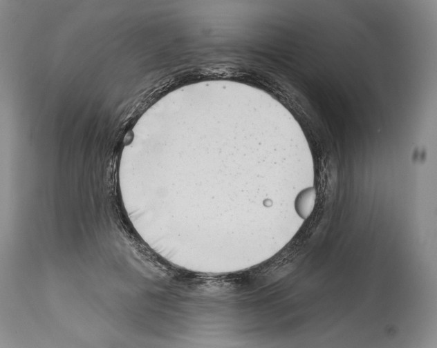 X0000113940601200911061243