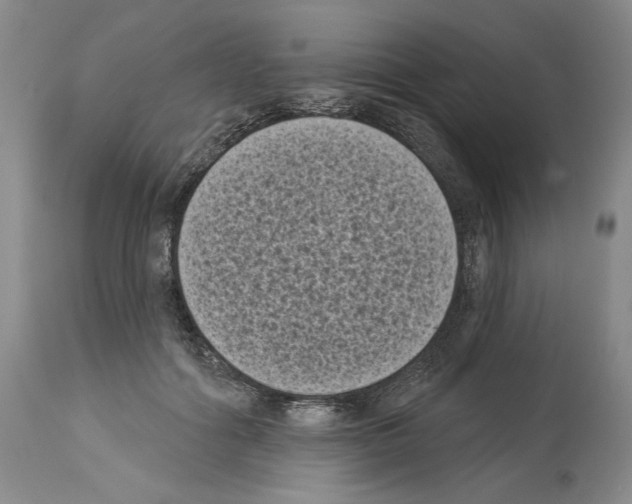 X0000113940602200911061243