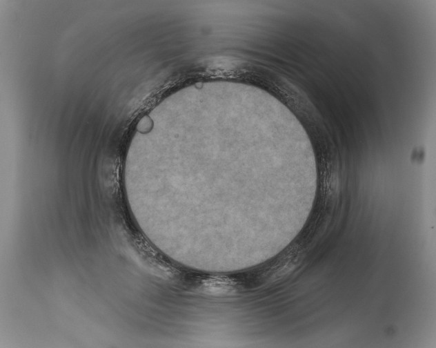 X0000113940603200911061243