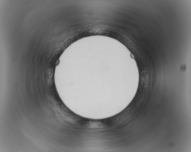 X0000113940605200911061243