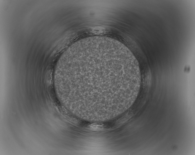 X0000113940606200911061243