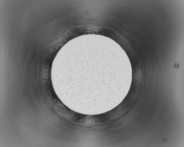 X0000113940608200911061243