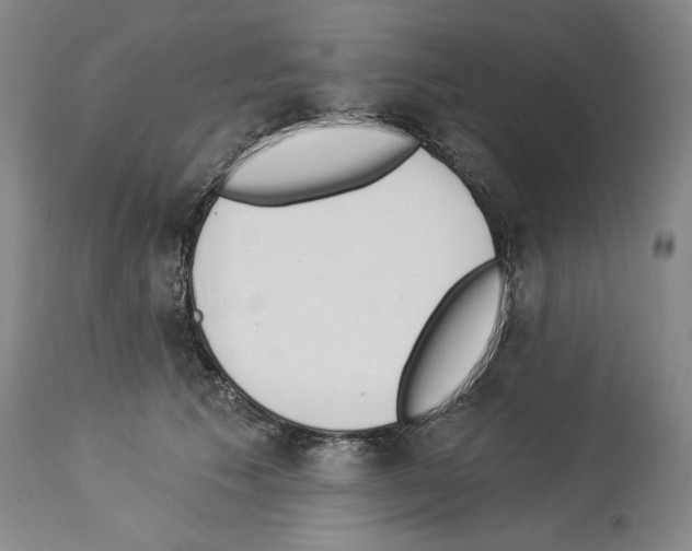 X0000113940609200911061243