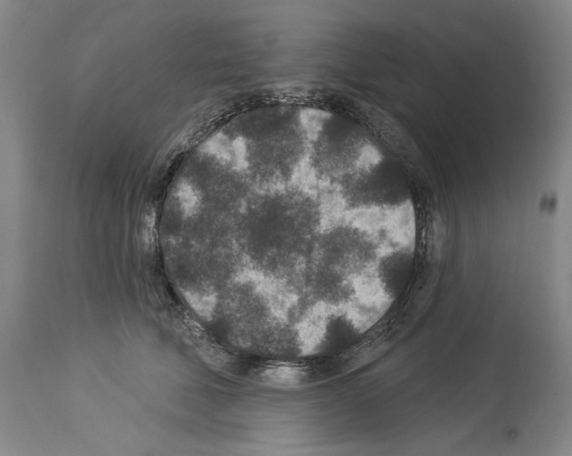 X0000113940610200911061243