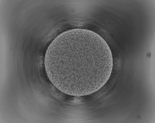 X0000113940612200911061243