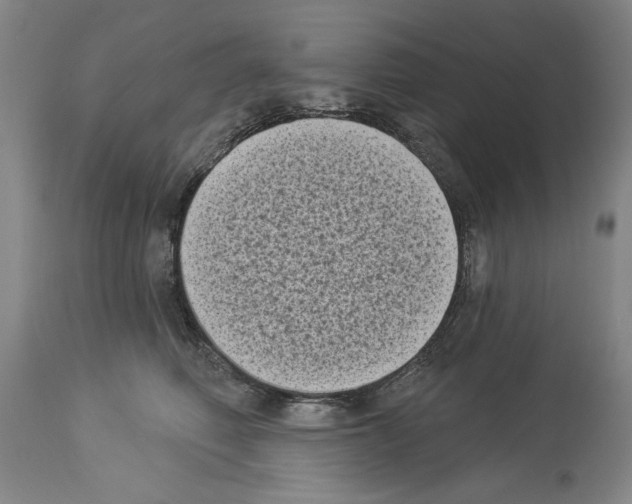 X0000113940614200911061243