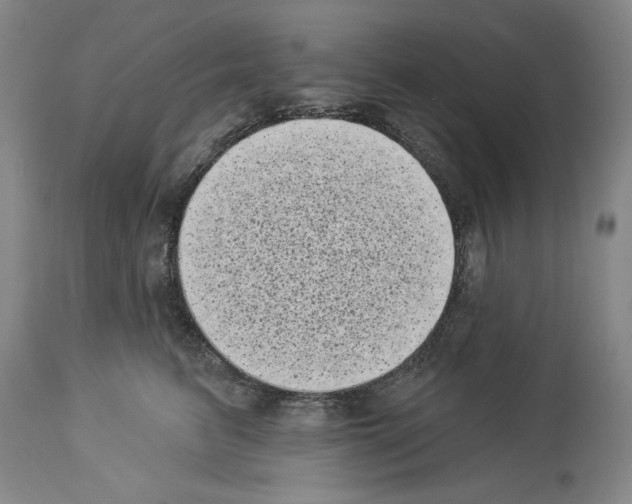 X0000113940615200911061243