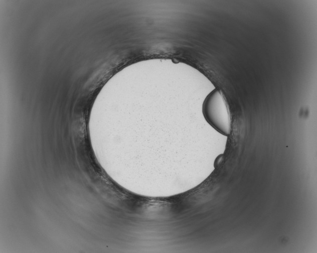 X0000113940617200911061243