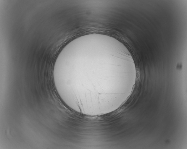 X0000113940621200911061243