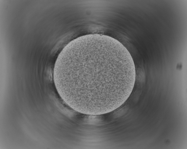 X0000113940622200911061243