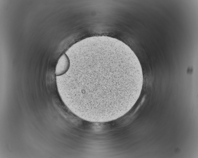 X0000113940623200911061243