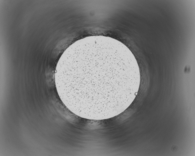 X0000113940624200911061243