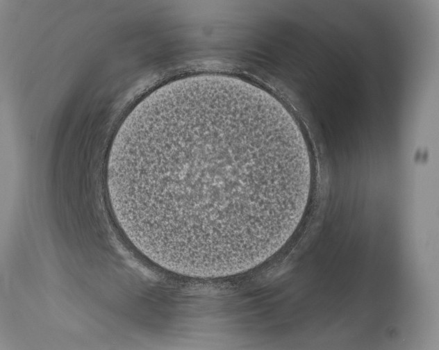 X0000113940625200911061242