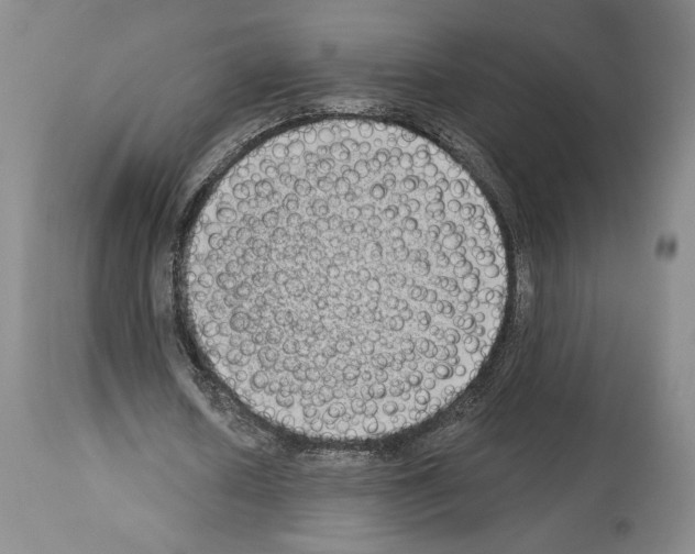 X0000113940626200911061242