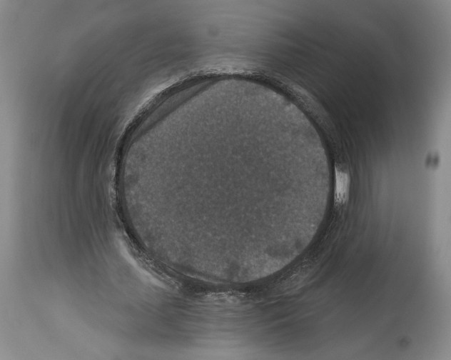 X0000113940627200911061242