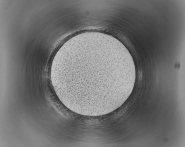 X0000113940628200911061242