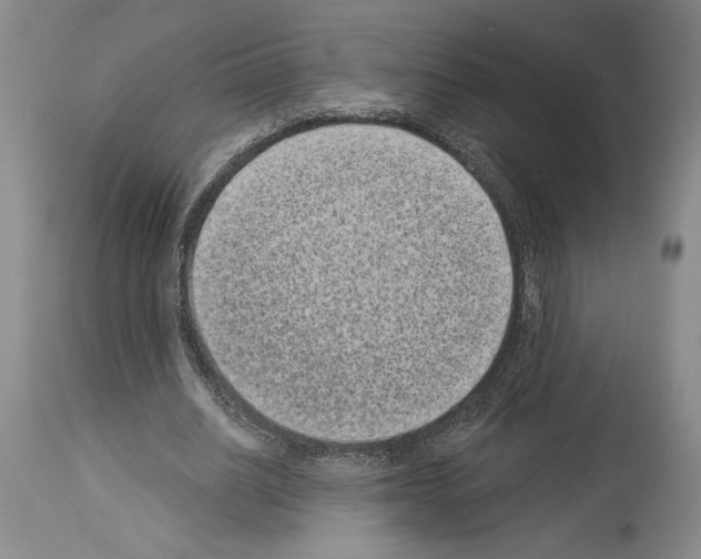 X0000113940630200911061242