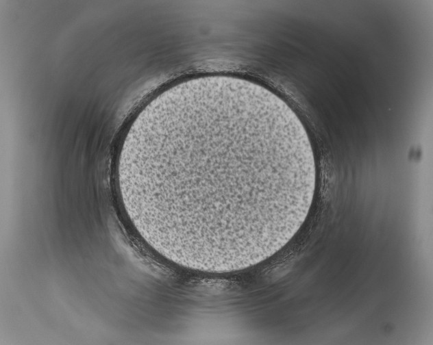 X0000113940631200911061242