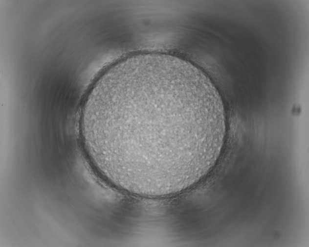 X0000113940632200911061242