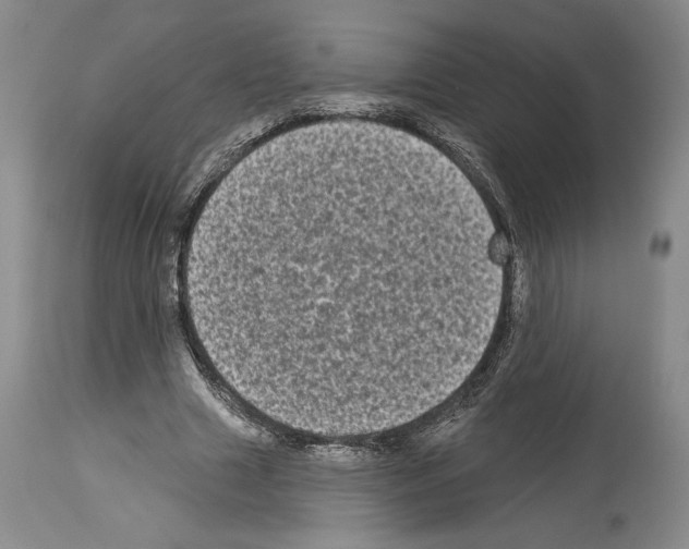 X0000113940633200911061242