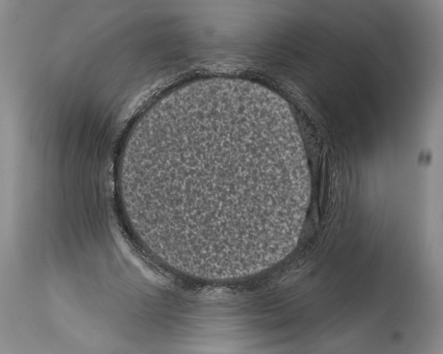 X0000113940634200911061242