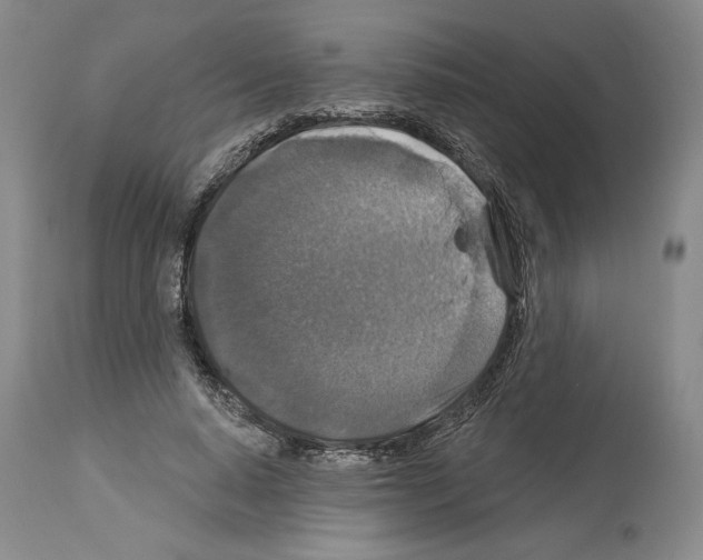 X0000113940640200911061242