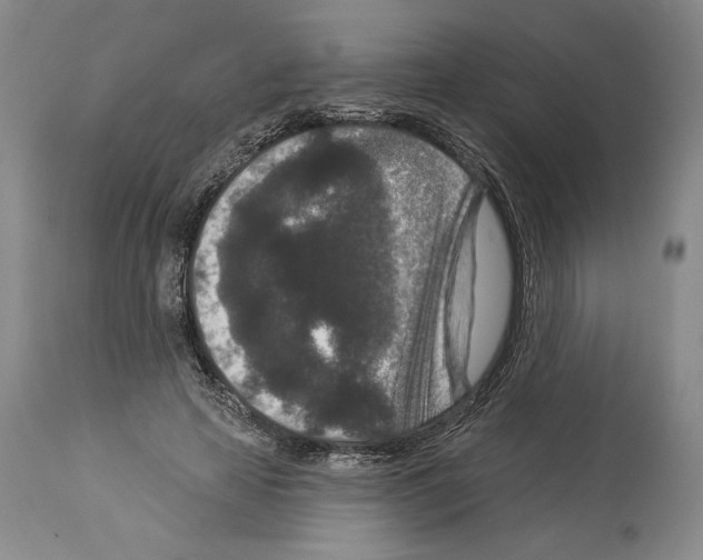 X0000113940641200911061242