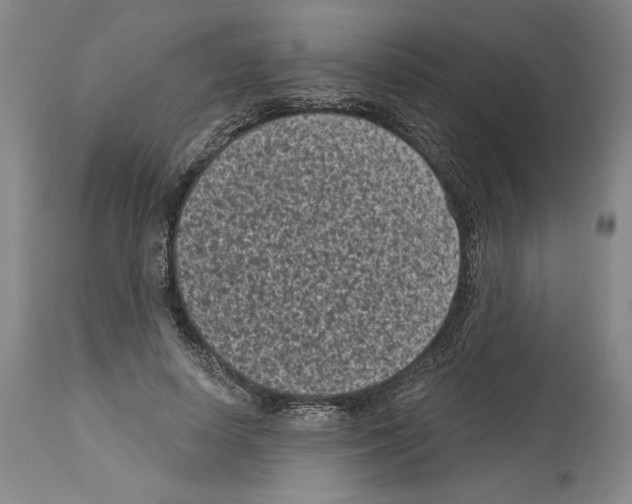 X0000113940642200911061242