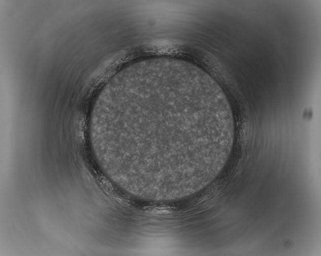 X0000113940643200911061242