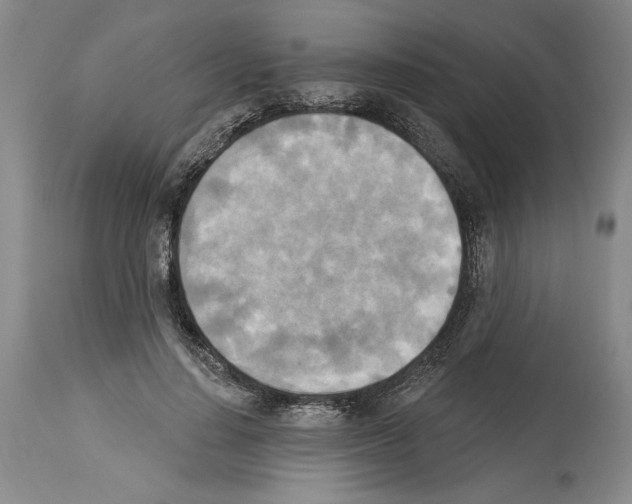 X0000113940644200911061242