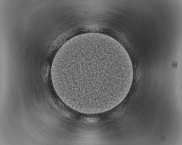 X0000113940645200911061242